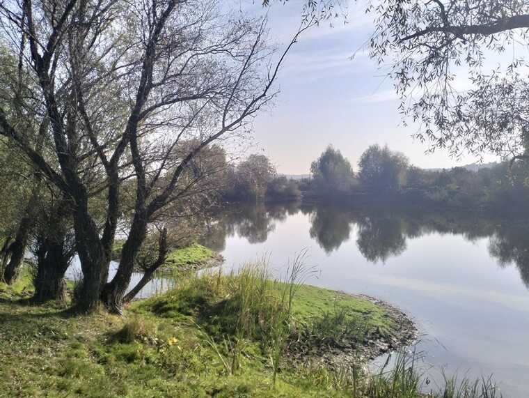 Столыпинский промпарк: по чьему заказу саратовские чиновники мутят воду в прудах Золотой долины