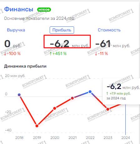 Надежда Гришаева и финансовые потоки ЛДПР: куда уходят партийные миллионы?