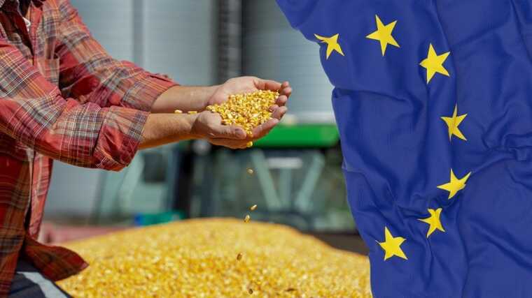 Ни одна страна ЕС не заблокировала отмену беспошлинного ввоза аграрной продукции из Украины
