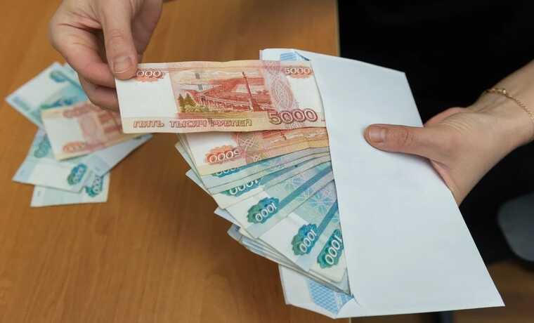 Преподаватель из Рязани замешана в продаже земли Подмосковья по заниженным ценам