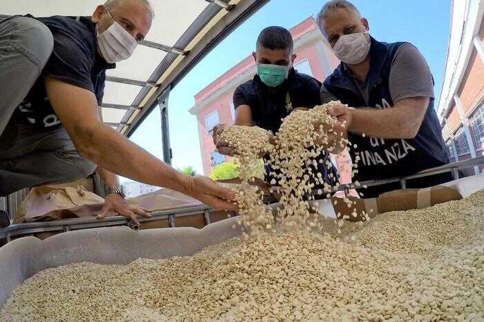На овощной базе в Германии полиция изъяла 300 кг «наркотика джихада»